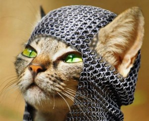 Medieval Cat